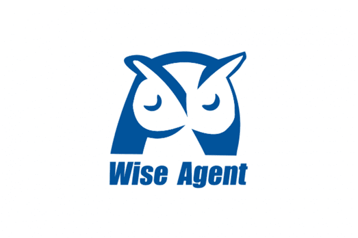 wise agent 1