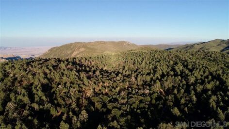 Mount Laguna