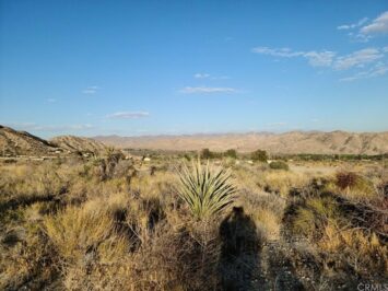 Twentynine Palms