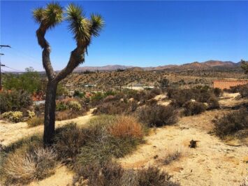 Yucca Valley